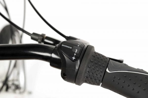 Driewielfiets Electrisch Lagoon, zeer lage instap