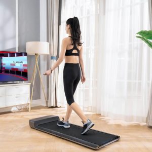 Loopband sompact Flow Fitness DTM100i