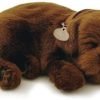 Deze labrador puppy ziet er levensecht uit. Werkt op batterijen zodat het lijkt of hij slaapt.