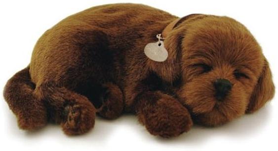 Deze labrador puppy ziet er levensecht uit. Werkt op batterijen zodat het lijkt of hij slaapt.